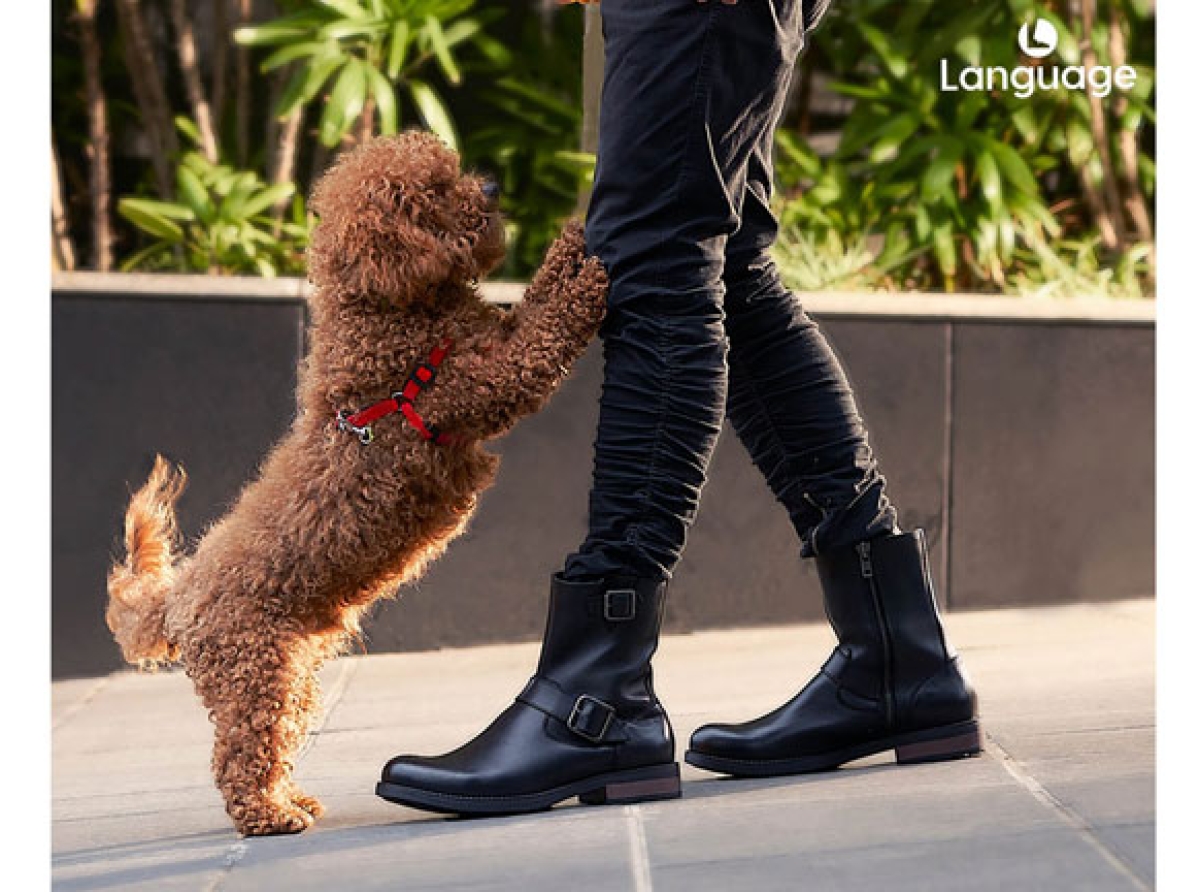 'Language Shoes' launches leather boots collections for men