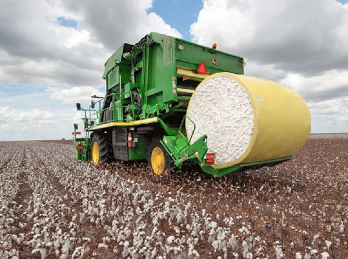 CITI, SIMA hail TN state government decision to remove 1% AMC Cess on cotton, cotton waste