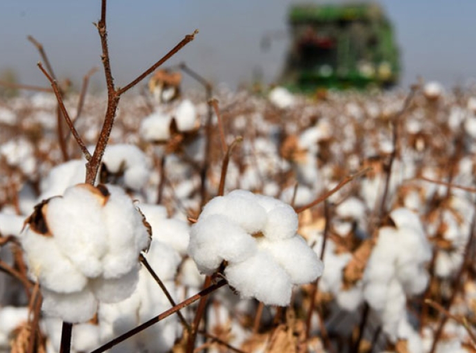 Cotton shortage forces garment manufacurers in China to buy ‘American Cotton’