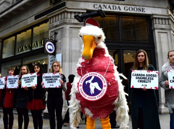 Violent, inarguably cruel manner: PETA accuses luxury brands LVMH and  Kering of animal cruelty